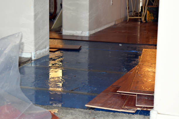 Professional Burst Pipe Cleanup technician working in Huger, SC